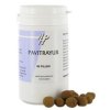 80 Tabletten Holisan Pavitrayur