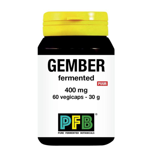 SNP Gember Fermented 400 mg Puur