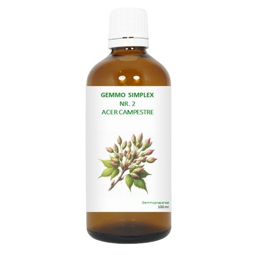 100 ml BalancePharma Gemmo Simplex Nr.2 Acer Campestre
