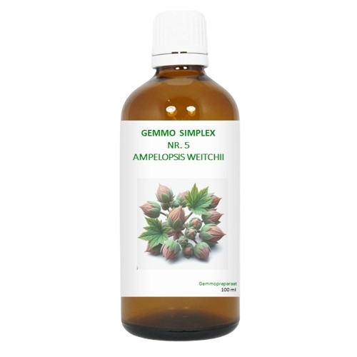 BalancePharma Gemmo Simplex Nr.5 Ampelopsis Weitchii 100 Ml