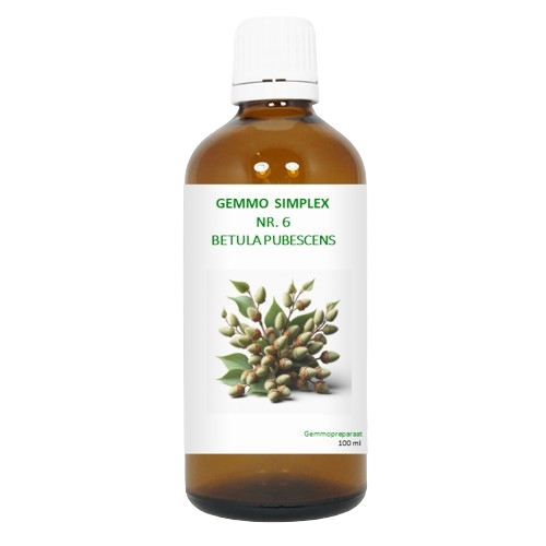 BalancePharma Gemmo Simplex Nr.6 Betula Pubescens 100 Ml