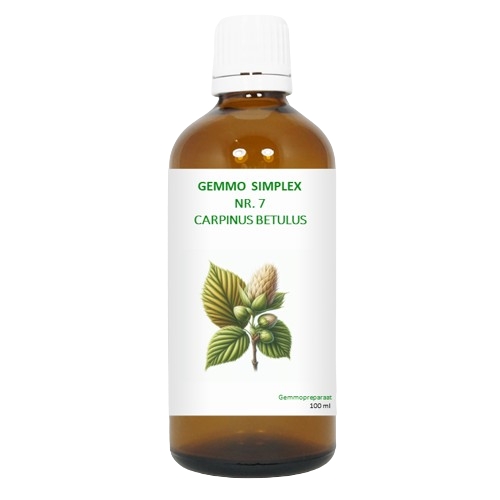 BalancePharma Gemmo Simplex Nr.7 Carpinus Betulus 100 Ml