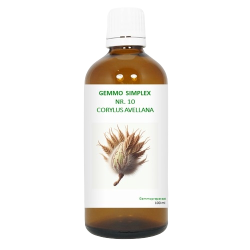 100 ml BalancePharma Gemmo Simplex Nr.10 Corylus Avellana