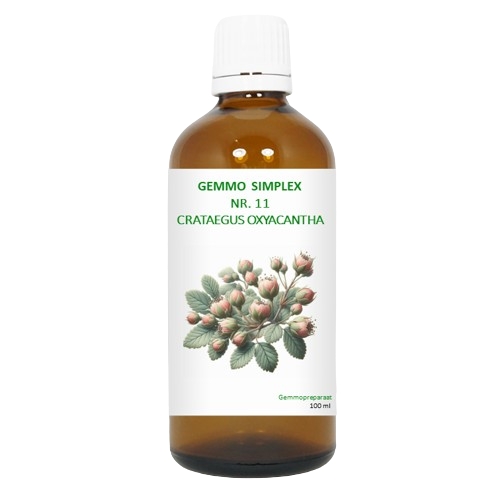 BalancePharma Gemmo Simplex Nr.11 Crataegus Oxyacantha 100 Ml