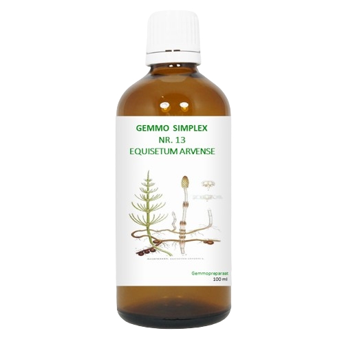 BalancePharma Gemmo Simplex Nr.13 Equisetum Arvense 100 Ml