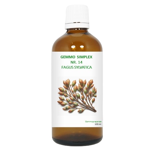 BalancePharma Gemmo Simplex Nr.14 Fagus Sylvatica 100 Ml