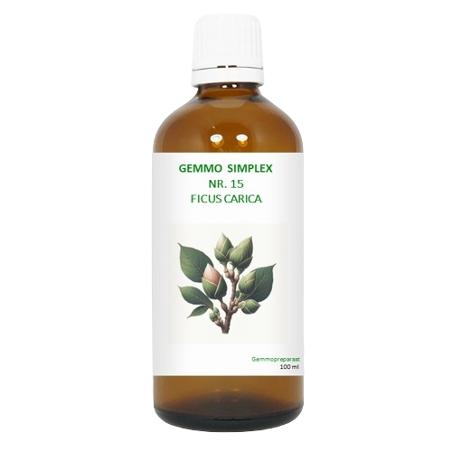 BalancePharma Gemmo Simplex Nr.15 Ficus Carica 100 Ml