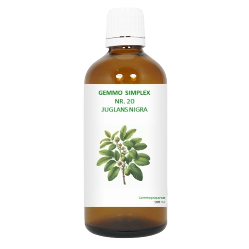 BalancePharma Gemmo Simplex Nr.20 Juglans Nigra 100 Ml