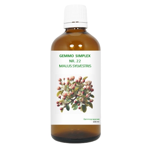 BalancePharma Gemmo Simplex Nr.22 Malus Sylvestris 100 Ml