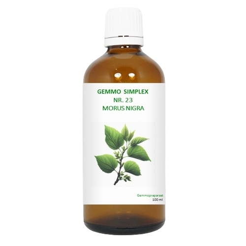BalancePharma Gemmo Simplex Nr.23 Morus Nigra 100 Ml