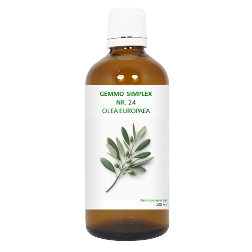 BalancePharma Gemmo Simplex Nr.24 Olea Europaea 100 Ml
