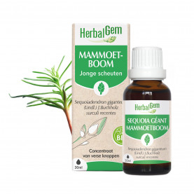 Herbalgem Mammoetboom - Sequoia Gigantea Biologisch