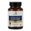 American Biologics Liposomales Glutathion