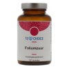 100 tabletten TS Choice Foliumzuur