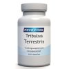 100 capsules Nova Vitae Tribulus Terrestris
