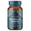Ayurvediq Boswellia Serrata