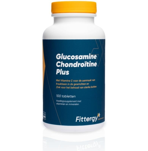 Fittergy Glucosamine Chondroitine Plus
