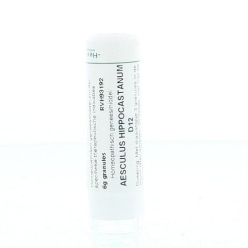 6 gram Homeoden Heel Aesculus Hippocastanum D12