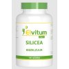 100 tabletten Elvitum Silicea