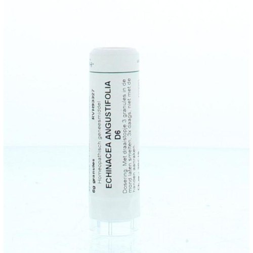 6 Gramm Homeoden Heel Echinacea Angustifolia D6