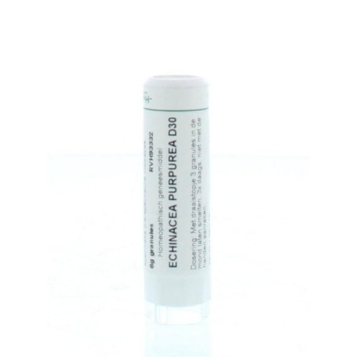 6 Gramm Homeoden Heel Echinacea Purpurea D30