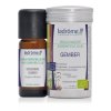 10 ml Ladrôme Laboratoire Gember Biologisch