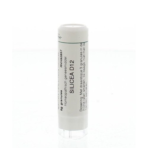 6 gram Homeoden Heel Silicea D12