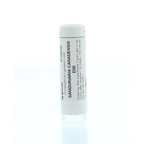 6 gram Homeoden Heel Sanguinaria Canadensis D30