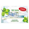 12 stuks XyliGum Icemint Kauwgom