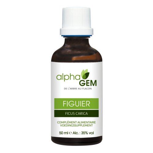 vijg-ficus-carica-biologisch-alphagem-50-ml