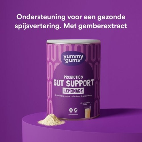gut-support-lemonade-powder-yummygums-240-gram