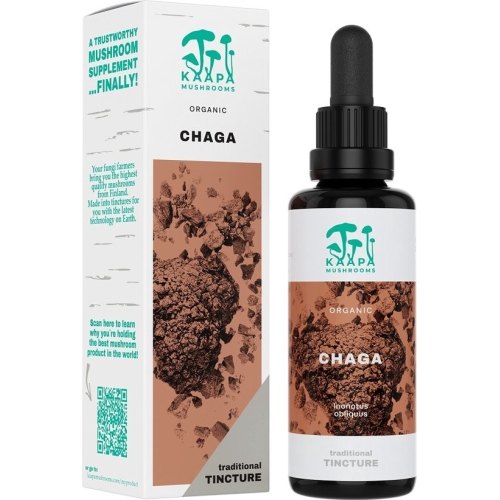 KÄÄPÄ Mushrooms Chaga Paddenstoelen Tinctuur Biologisch 50 Ml