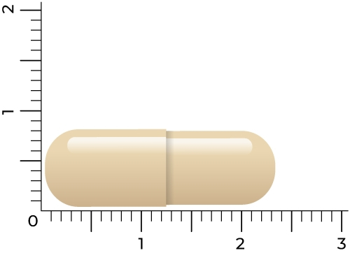 energie-complex-vitakruid-60-capsules