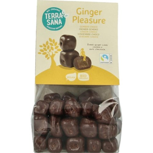 150 gram Terrasana Ginger Pleasure Biologisch