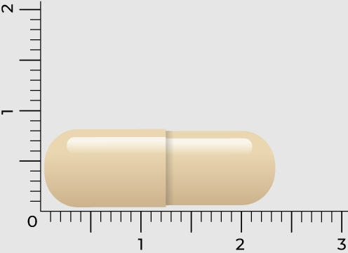 echinaceaa2-purpurea-angustifolia-vitakruid-90-capsules