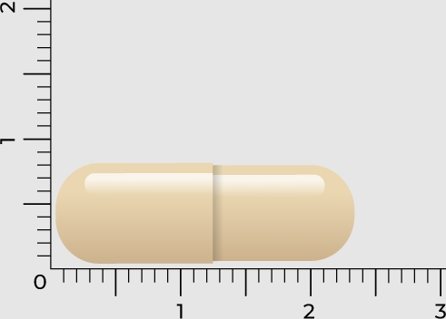 Vitakruid Cordyceps CPA³ 60 capsules