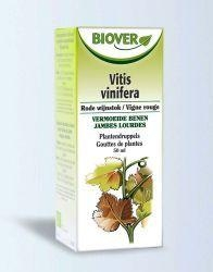 Biover Vitis Vinifera - Rode Wijnstok Biologisch 50 Ml