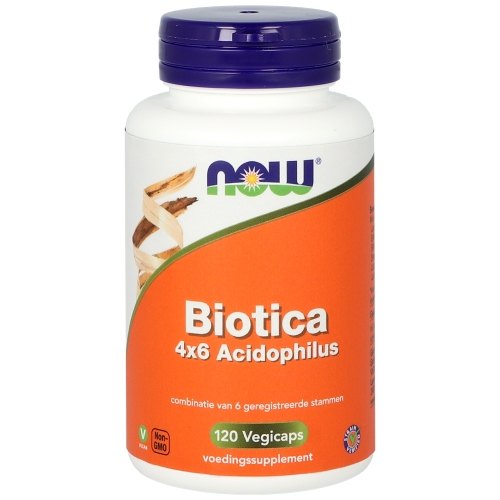 120 Kapseln NOW Biotica 4x6 Acidophilus