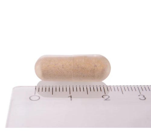 phytopro-m-celxpert-120-capsules