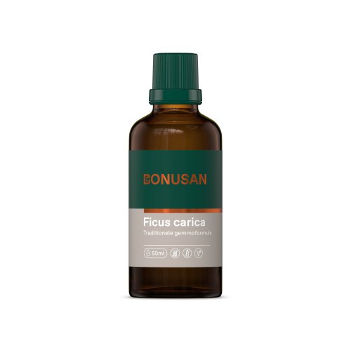 50 ml Tinktur Bonusan Ficus Carica