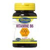 60 tabletten Toppharm Vitamine B6
