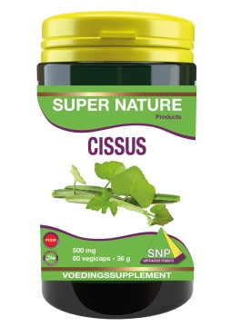 cissus-500-mg-snp-60-capsules