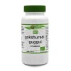 Surya Gokshuradi Guggul Biologisch