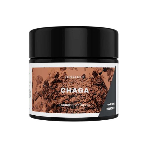 KÄÄPÄ Mushrooms Chaga Extract Poeder Biologisch 30 Gramm