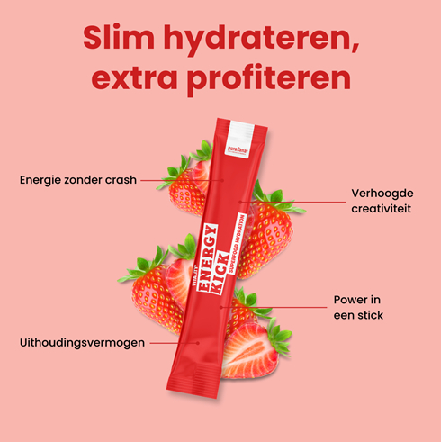 Purasana Hydratation Superfoods Energy Kick 10 x 4,5 gram