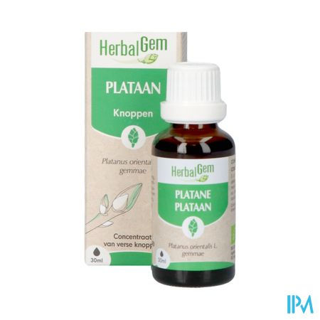 30 ml Herbalgem Plataan - Platanus Orientalis Gemmae Biologisch