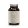 Mattisson Psyllium Biologisch