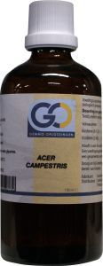 acer-campestris-biologisch-go-gemmo-oplossingen-100-ml