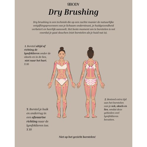 Bbody Dry Brush 1 Stück