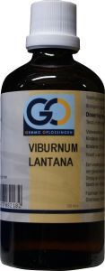 100 ml GO Gemmo Oplossingen Viburnum Lantana Biologisch